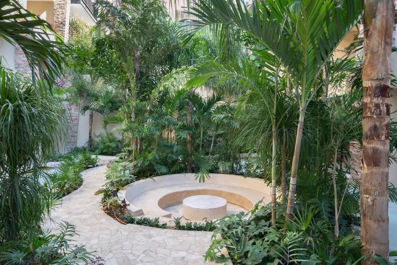 Estudio En El Centro De Playa Del Carmen Apartment